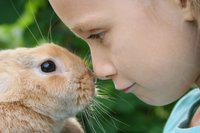 Haustier: Kind kuschelt mit Kaninchen 