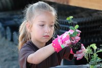 Mädchen Grundschulmädchen pflanzt Blumen mit rosa Handschuhen