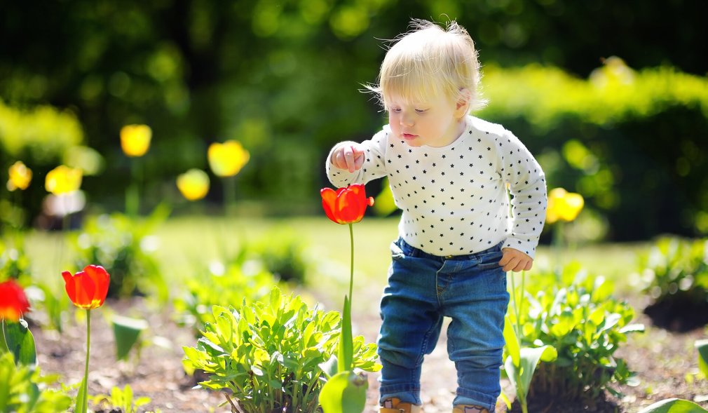 Kleinkind riecht an roter Blume im Garten