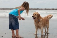 Kind spielt mit Haustier: Hund am Strand