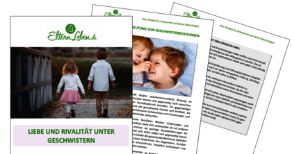 Handbuch Geschwister - Cover
