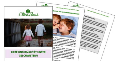 Handbuch Geschwister - Cover