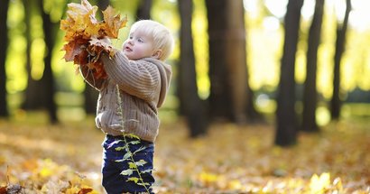 Kleinkind im Wald mit Herbstlaub in den Händen