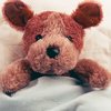 Kuscheltier Teddy-Bär im Bett