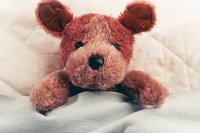 Kuscheltier Teddy-Bär im Bett