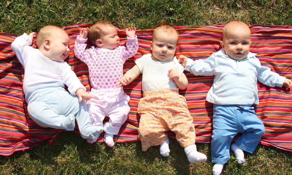 4 Babys liegen auf einer Decke auf einer Wiese